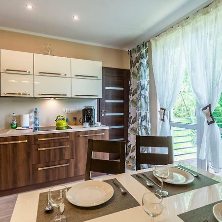 Apartament Brzozowy Zakątek - 5D Apartamenty Świeradów-Zdrój Kültér fotó